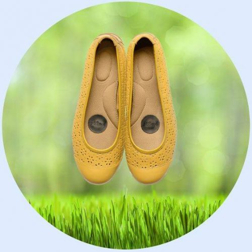 Calzado para Earthing