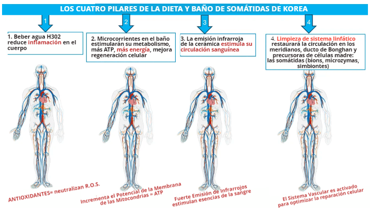 foto de los cuatro pilares (1)