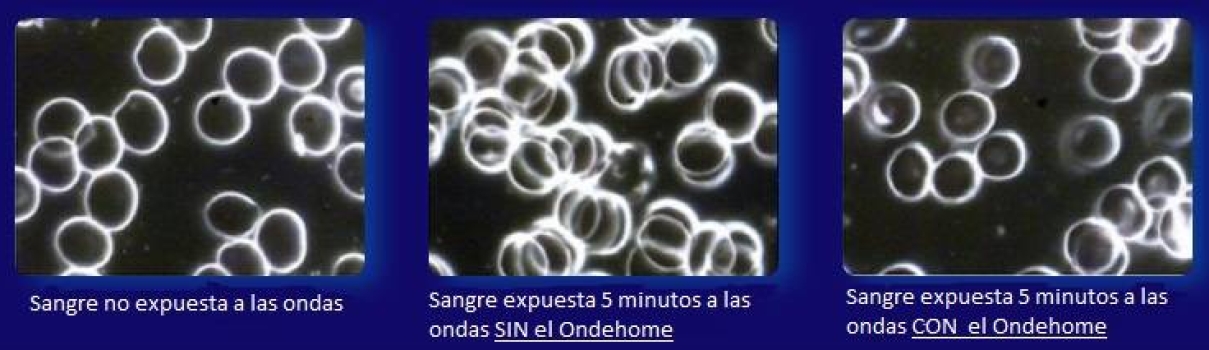 foto-ondehome-nueva-4reforma